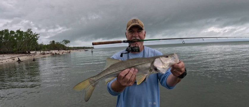 5" Smoke Shad