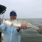 3.25" G Shad