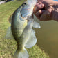 4" Assorted Knockin Tail Lure Bag with Built-In Tail Rattle