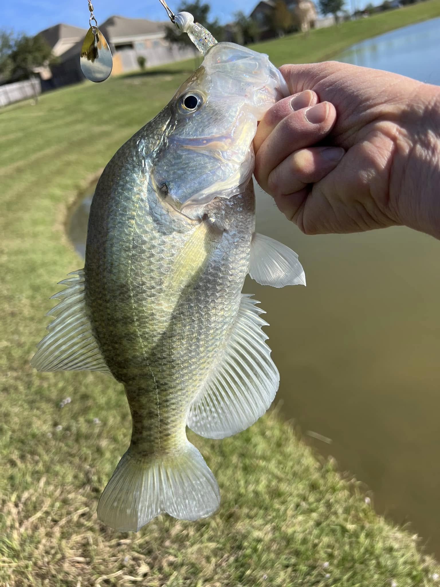 Knockin Tail Lures 3.25 Glass Minnow