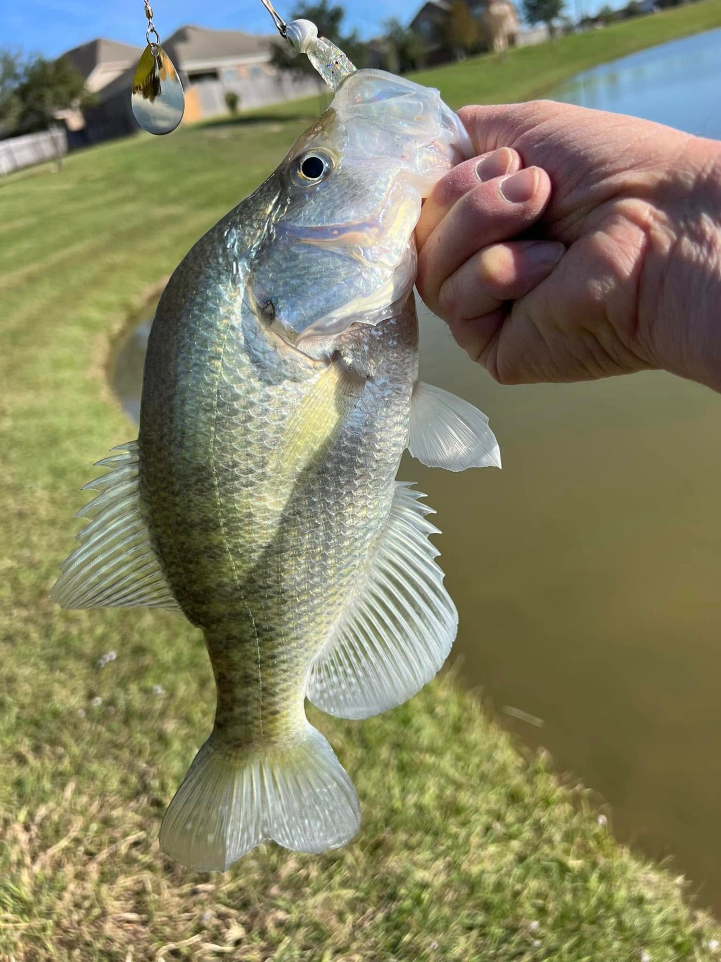 3.25" Glass Minnow