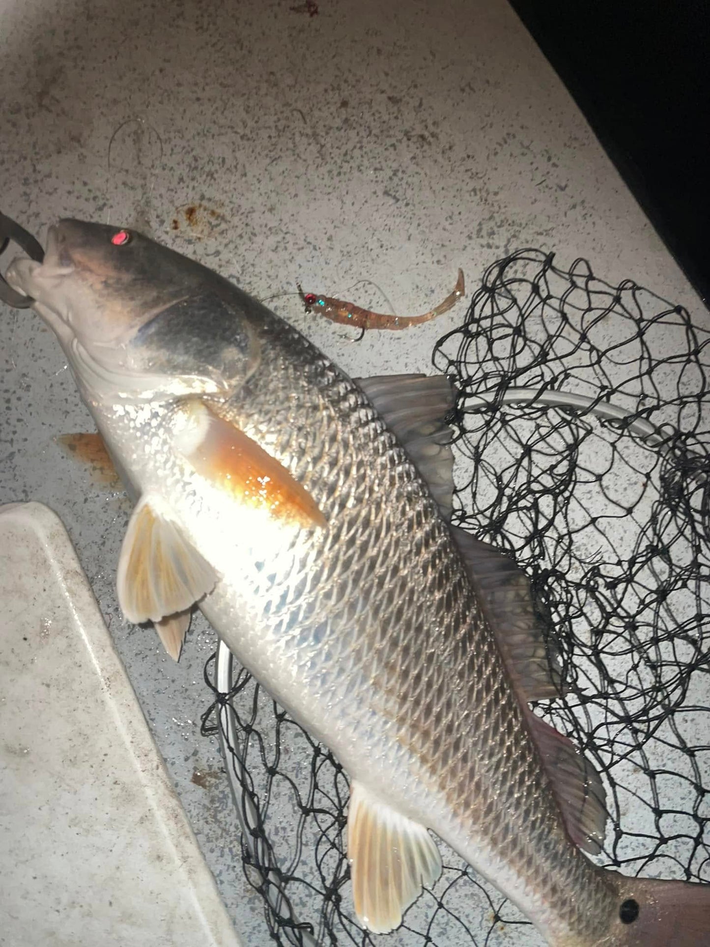 3.25" Glass Minnow