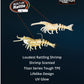 Knockin Shrimp Glass Minnow