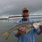 5" Smoke Shad
