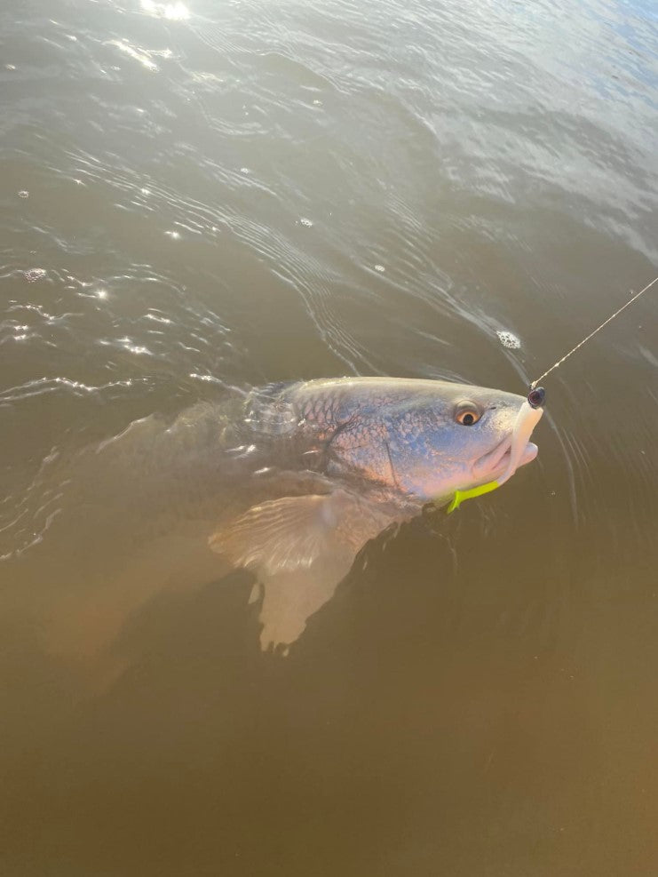 baby's rattle fishing lure LAKE EFFECT MINI PADDLE SWIMBAIT Joe's Sporting Goods This rattle is designed to produce a distinctive sound and vibration that mimics the distress signals of prey Mad Katz XL Battle Rattle