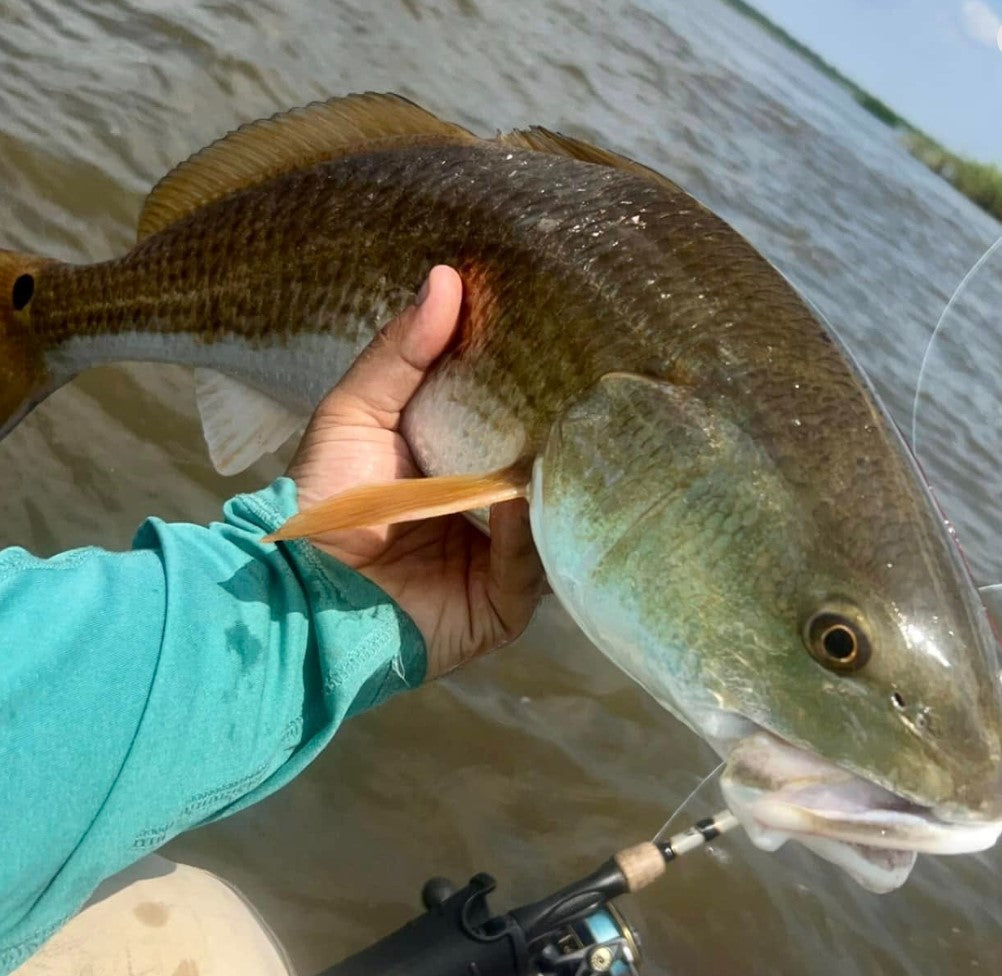 Knockin Tail Lures - 4 inch - Built-In Tail Rattle!