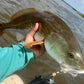 3.25" Junebug