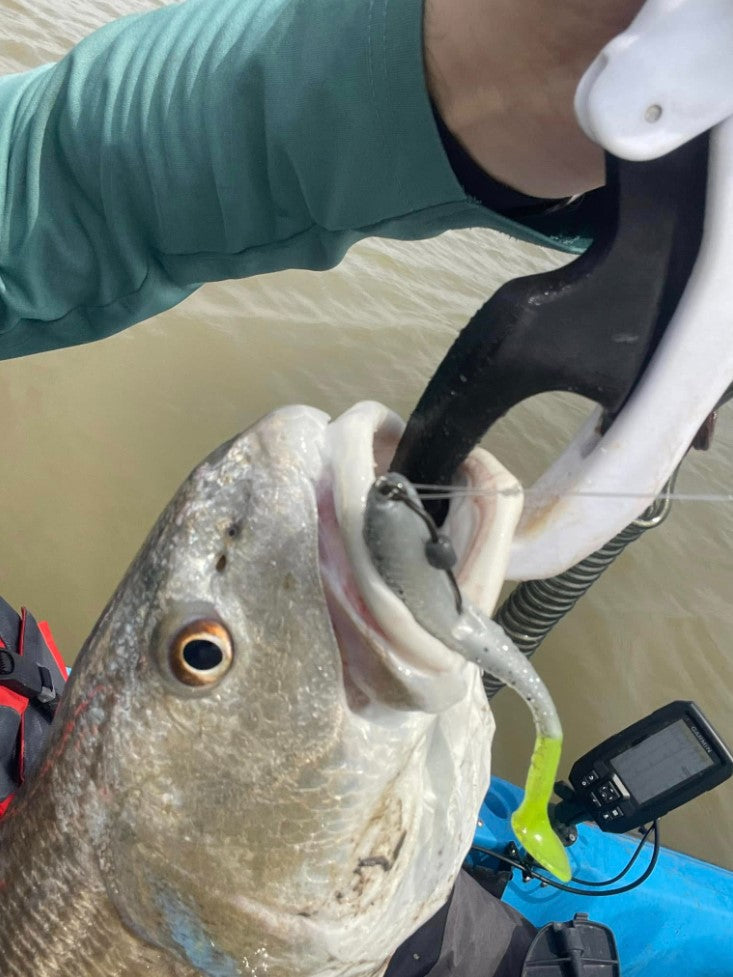 3.25" Junebug