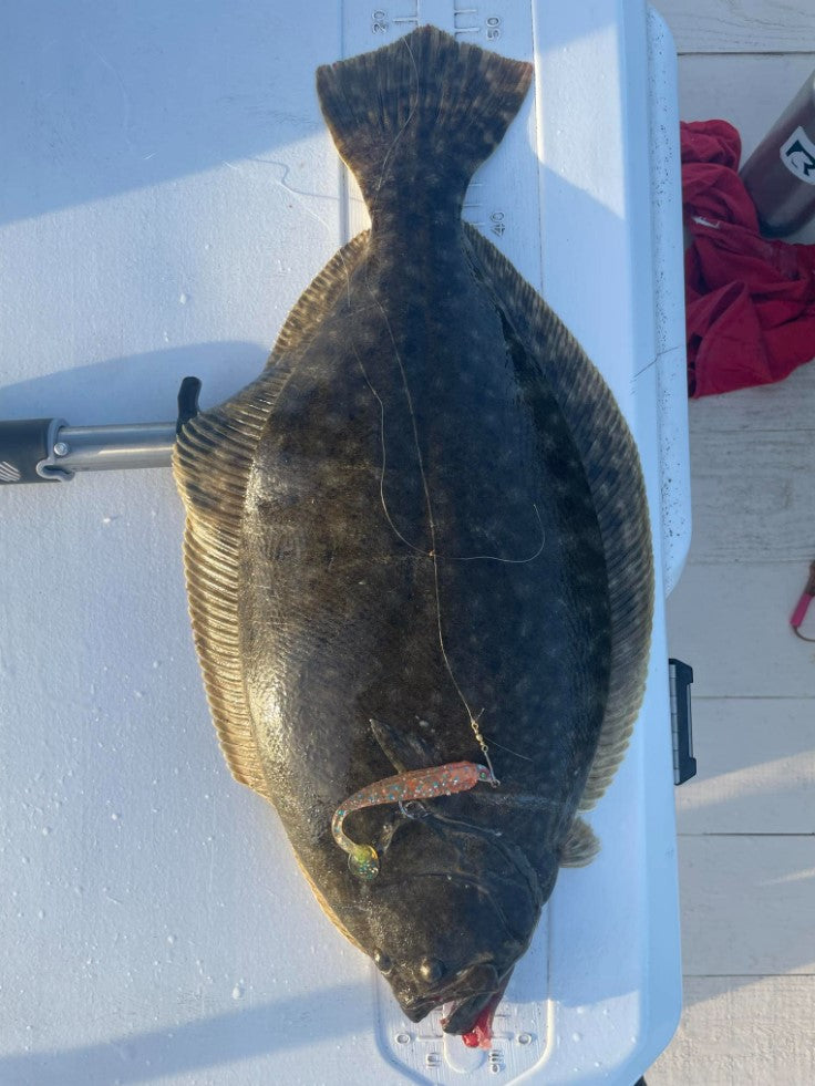 Flounder Essentials