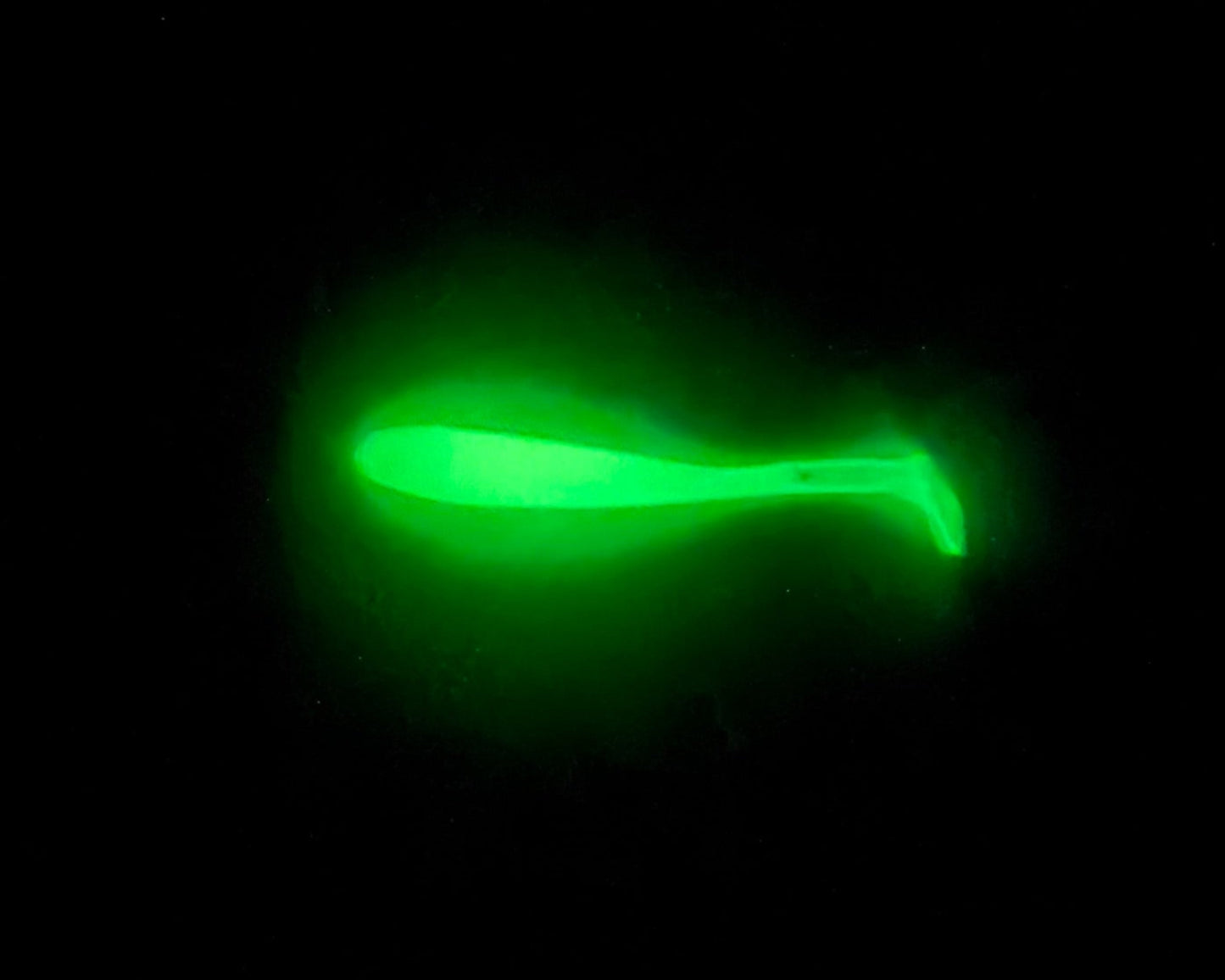 4" Solid Glow - NEW COLOR!