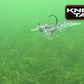 Ultimate Knockin Inshore Slam Kit