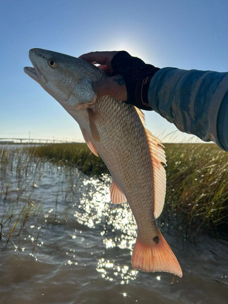 Fall Redfish Kit